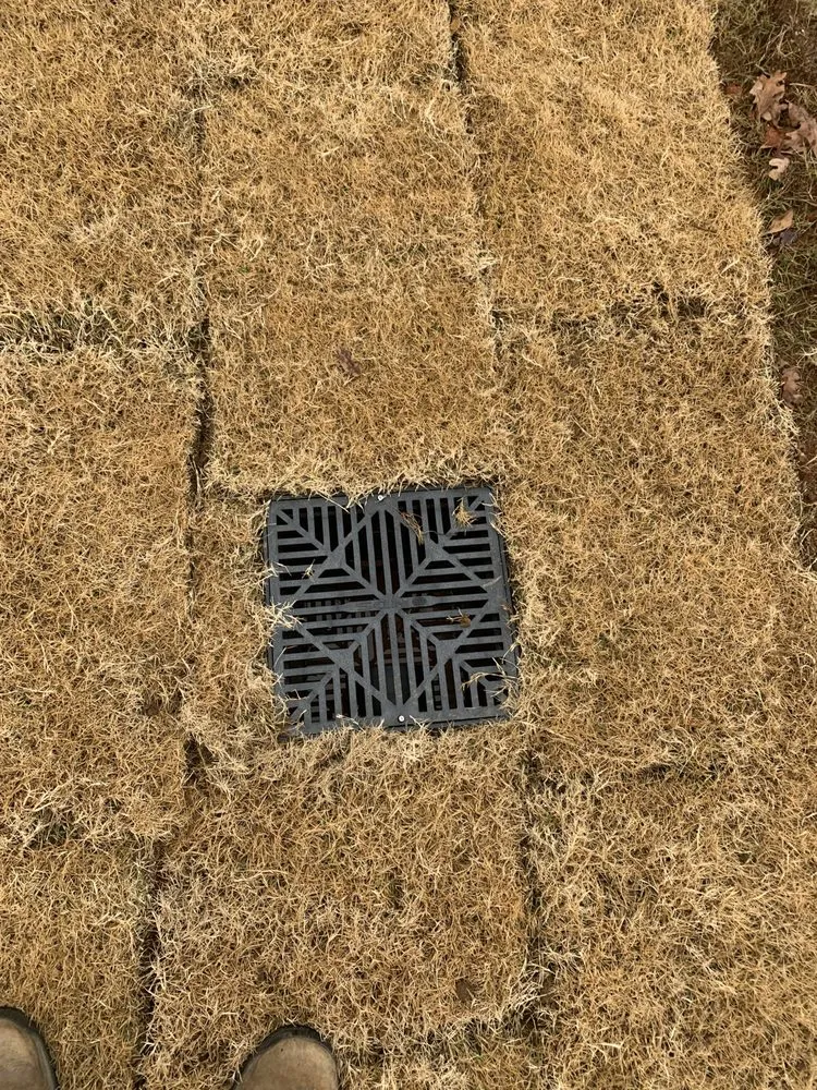 Affordable yard cleanup service in Temple, GA by Revive Landscaping and Design