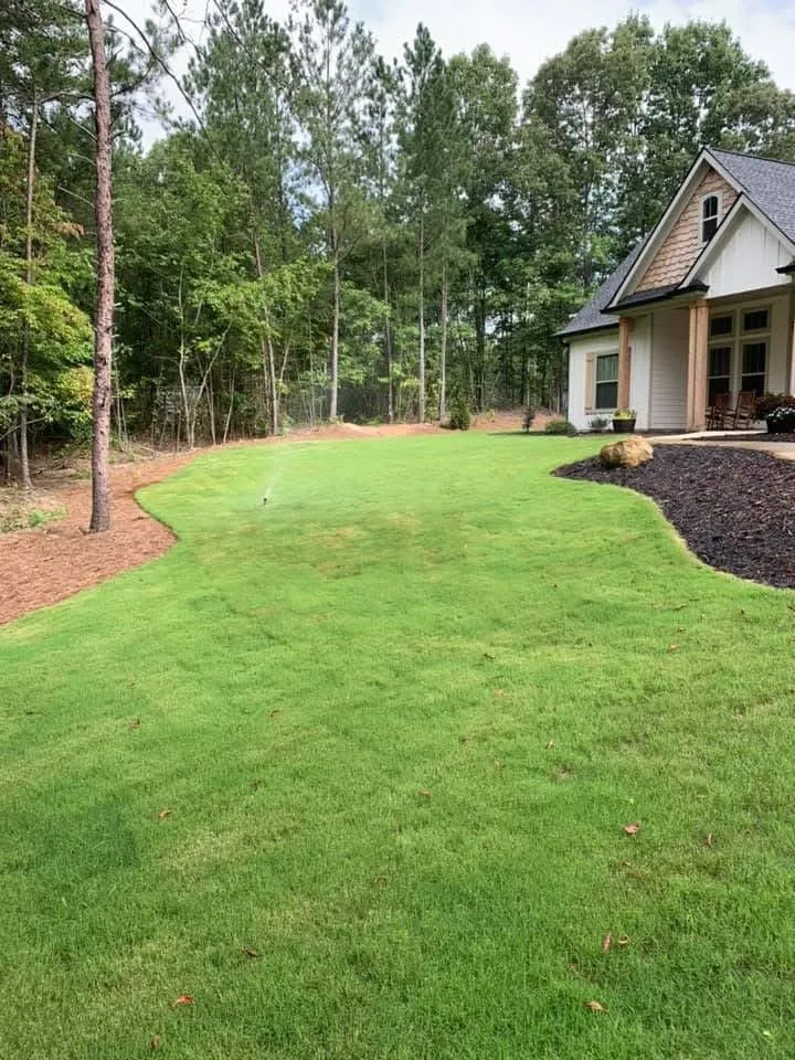 Local outdoor landscaping experts serving Temple, GA - Revive Landscaping and Design