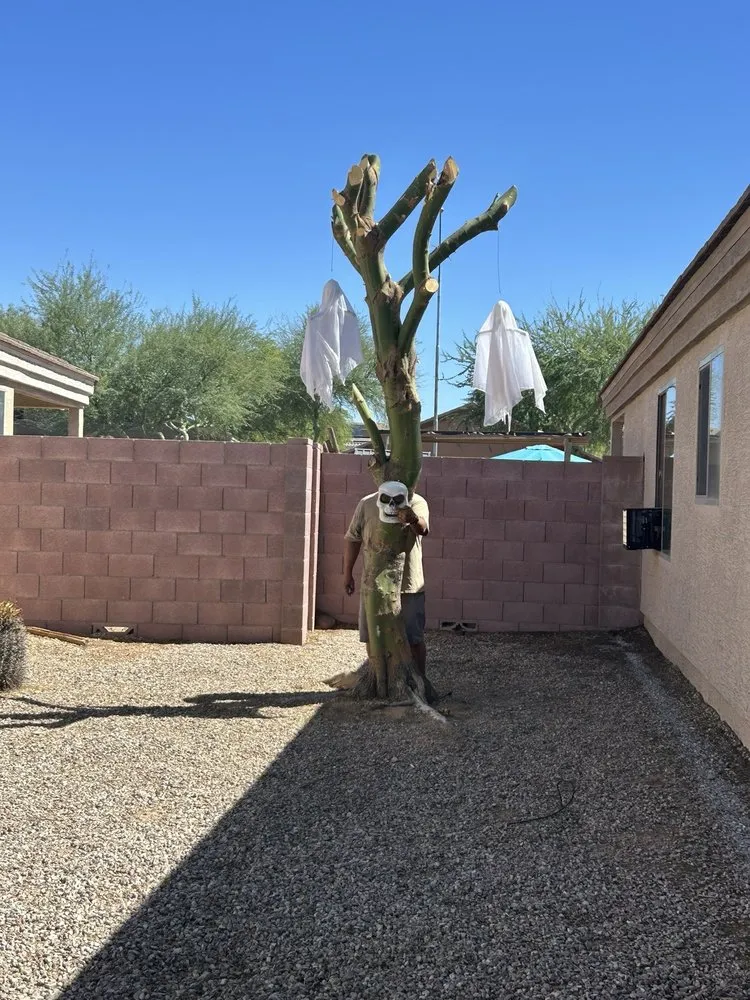 Top-rated landscape design for homes across Casa Grande, AZ - Revive Landscaping