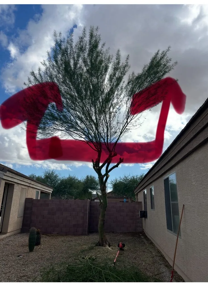 Professional landscape installation in Casa Grande, AZ by Revive Landscaping