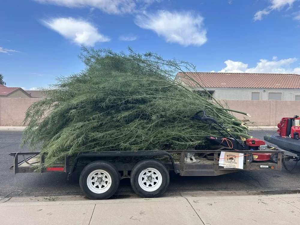 Trusted landscape design for outdoor upgrades across Casa Grande, AZ - Revive Landscaping