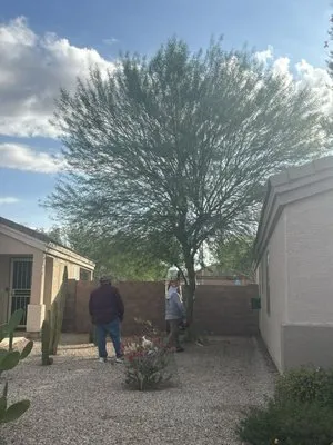 Revive Landscaping Logo