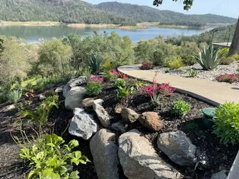 Trusted yard cleanup service for beautiful yards across Loomis, CA - Revive Landscaping