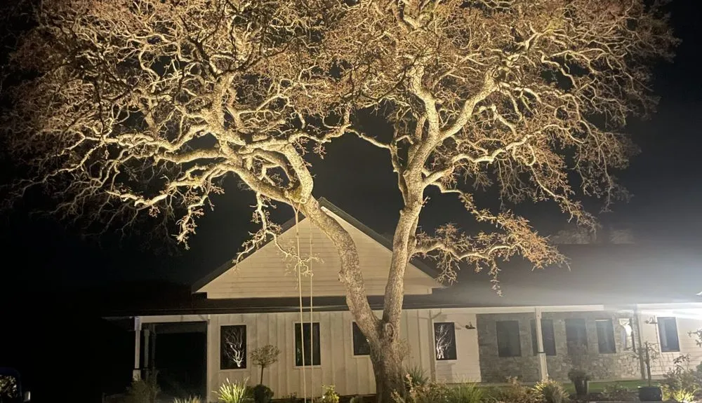 Expert lawn mowing service in Loomis, CA by Revive Landscaping