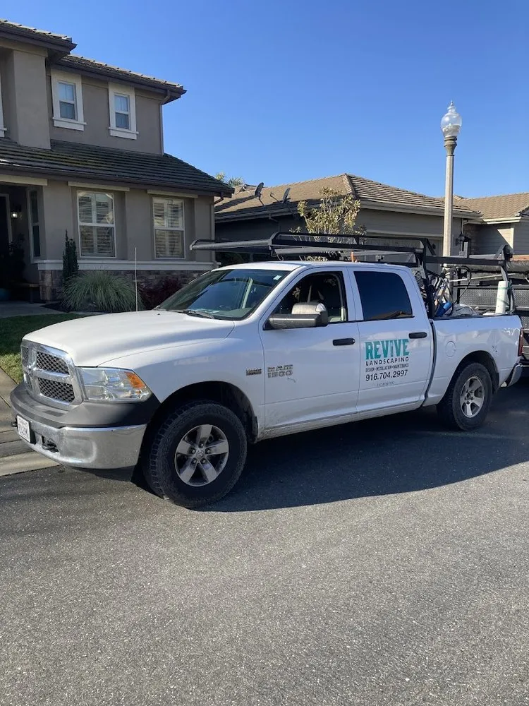 Affordable lawn care service in Loomis, CA - Revive Landscaping
