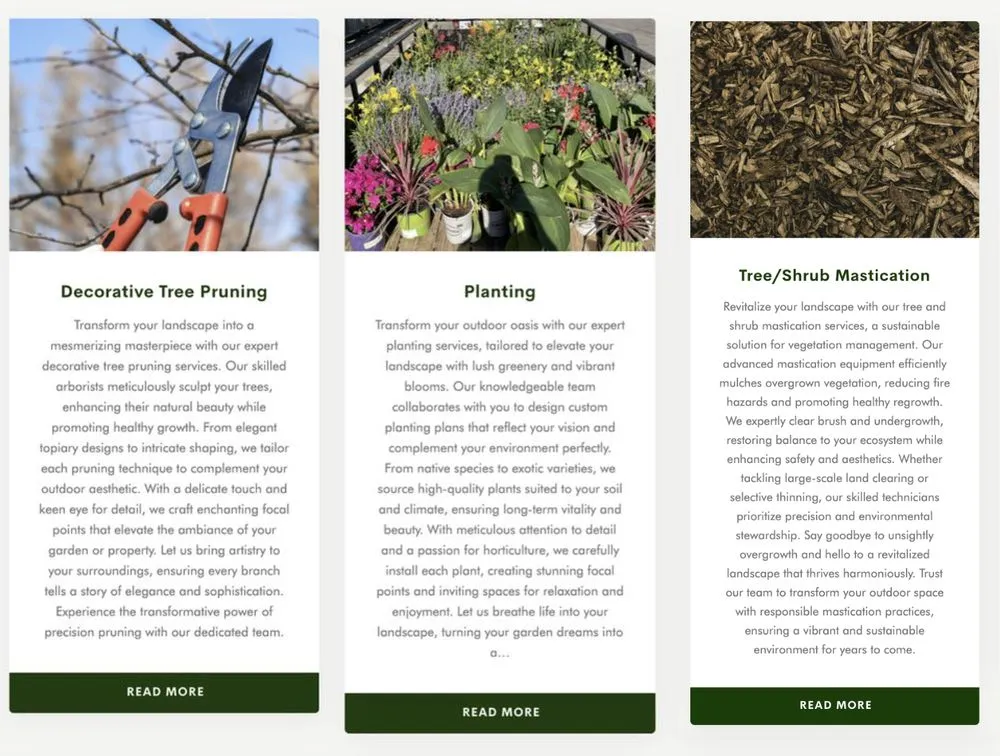 Professional lawn care service for outdoor upgrades across Loomis, CA - Revive Landscaping