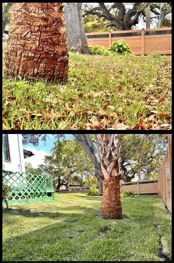 Custom landscaping services in North Port, FL - Revive Lawn and Landscape