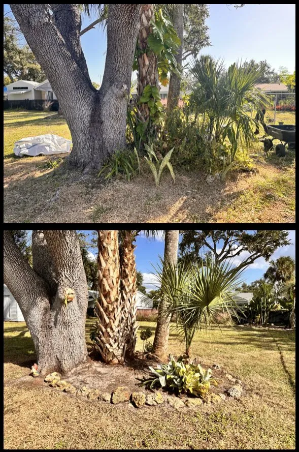 Professional yard maintenance experts serving North Port, FL - Revive Lawn and Landscape