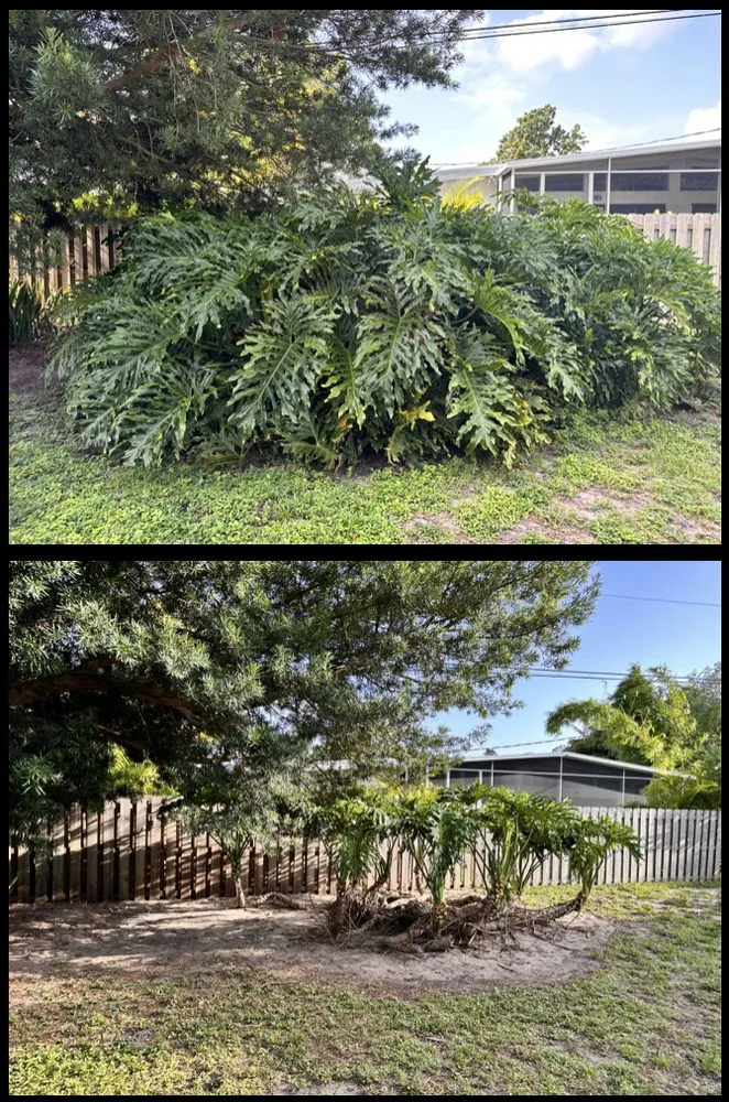 Professional lawn care service for beautiful yards across North Port, FL - Revive Lawn and Landscape