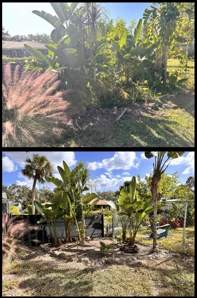 Professional lawn mowing service in North Port, FL - Revive Lawn and Landscape