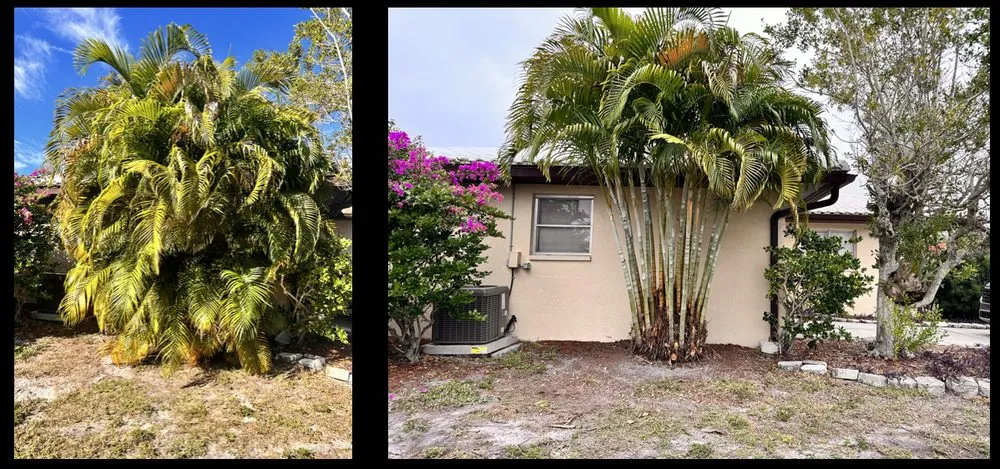 Top-rated yard maintenance in North Port, FL - Revive Lawn and Landscape