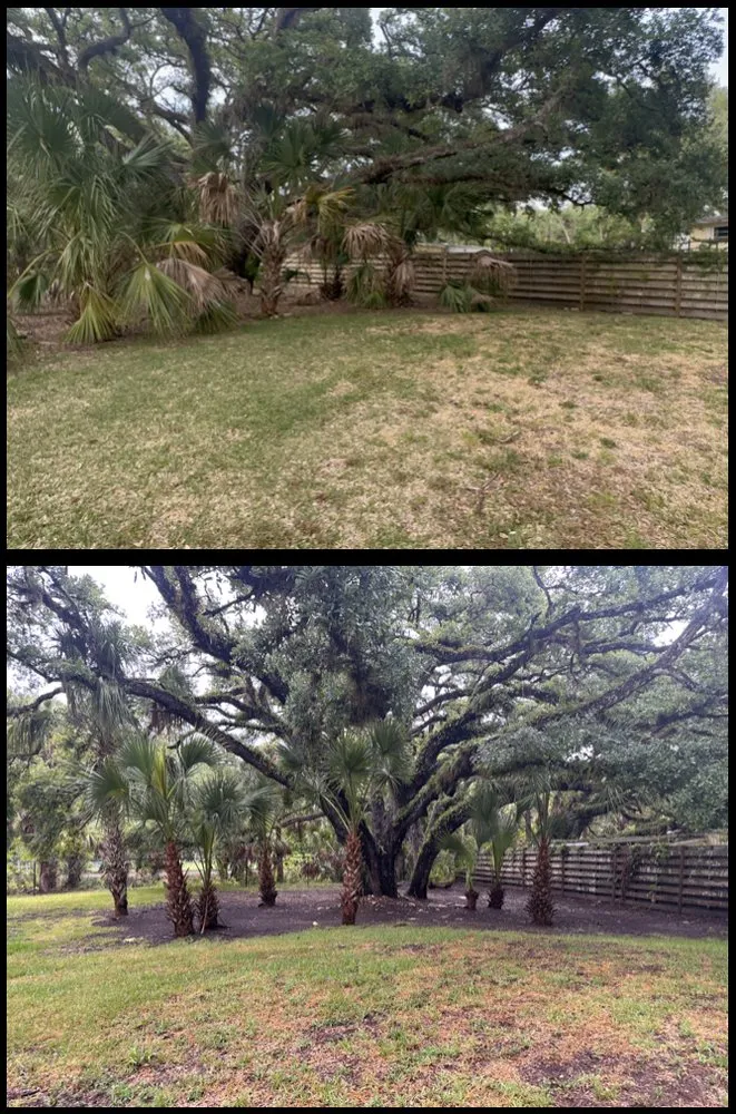 Professional yard maintenance experts serving North Port, FL - Revive Lawn and Landscape