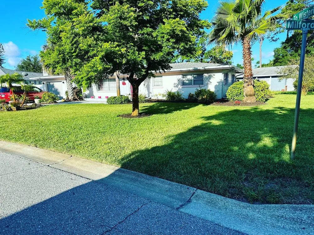 Affordable landscaping services in North Port, FL - Revive Lawn and Landscape