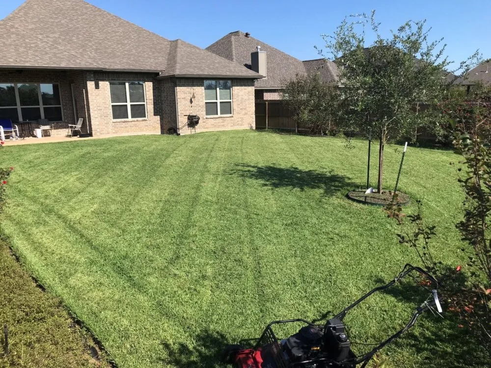 Local yard cleanup service in Sapulpa, OK by Revive Lawn Care
