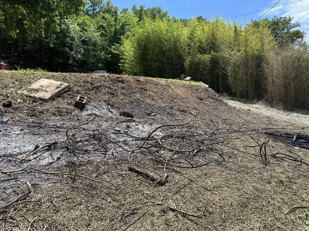 Professional outdoor landscaping for outdoor upgrades across Sherwood, AR - Revive Outdoors