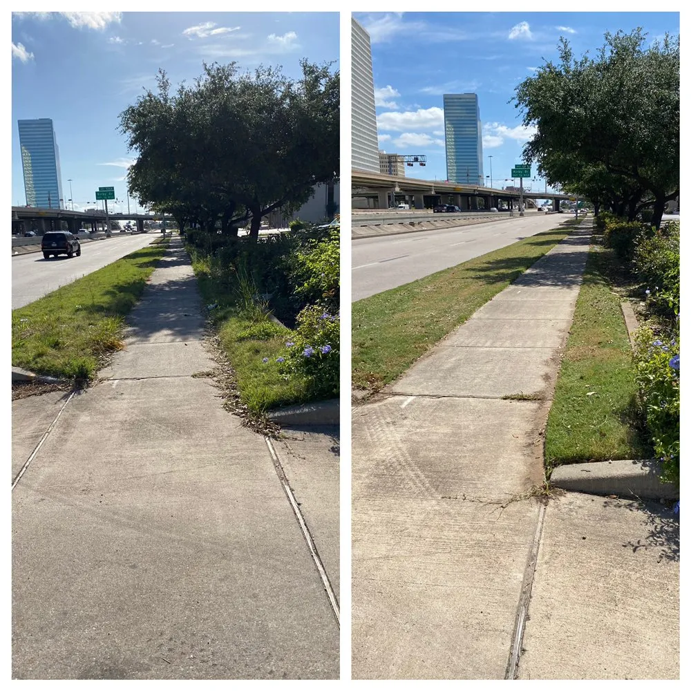 Top-rated garden landscaping in Houston, TX by Revolorio Landscaping