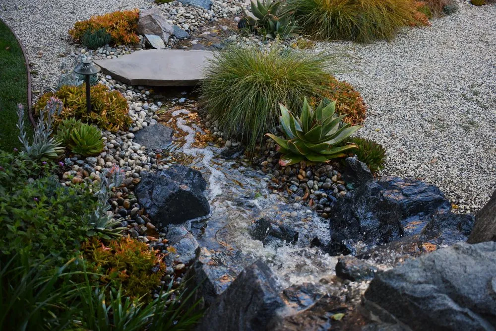 Reliable lawn care service for homes across Encinitas, CA - Revolution Landscape