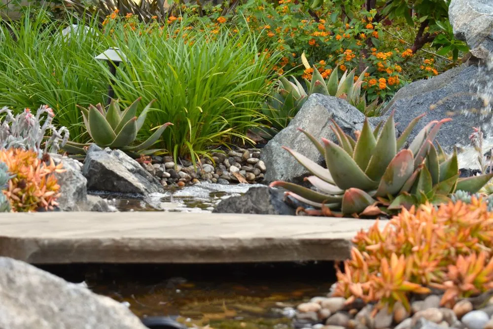 Professional yard cleanup service experts serving Encinitas, CA - Revolution Landscape