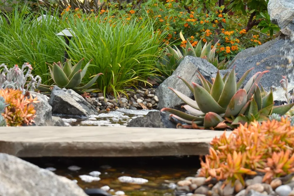 Affordable landscape design for homes in Encinitas, CA by Revolution Landscape
