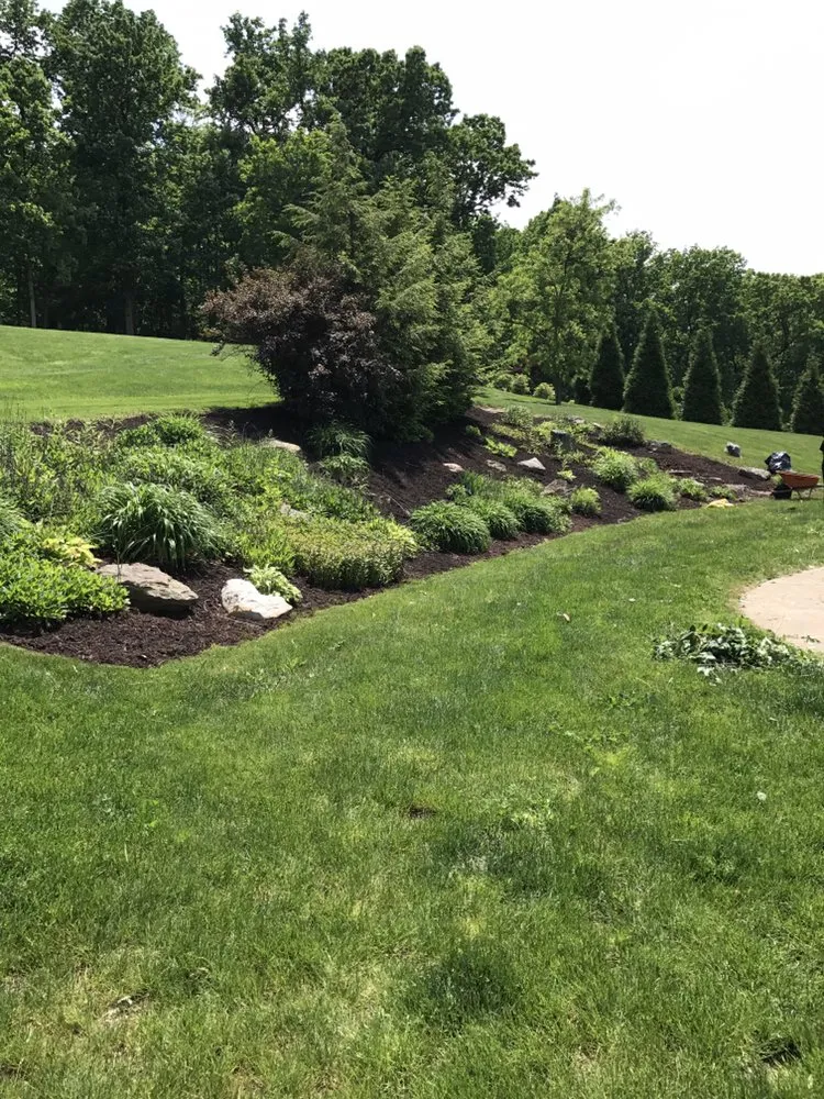 Top-rated yard maintenance in Youngwood, PA - Revolution Landscaping