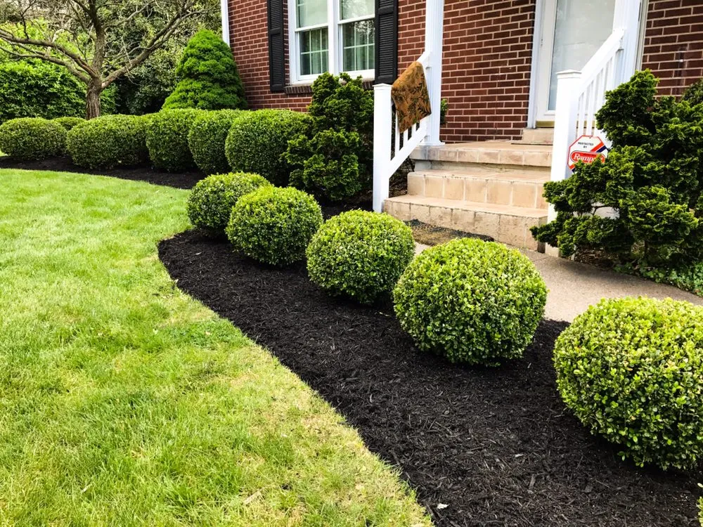 Custom yard maintenance experts serving Youngwood, PA - Revolution Landscaping