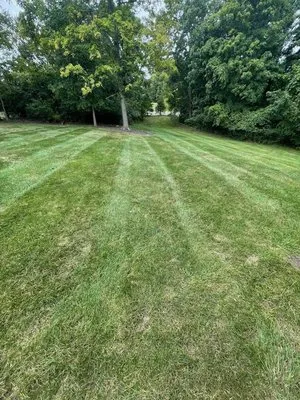 Revolution Lawn & Fertilization Logo