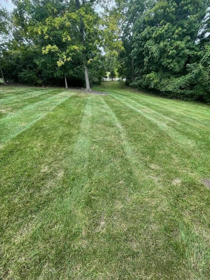 Professional landscape installation for outdoor upgrades in Delaware, OH by Revolution Lawn And Fertilization