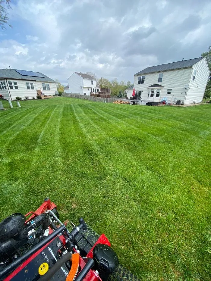 Affordable yard maintenance experts serving Delaware, OH - Revolution Lawn And Fertilization