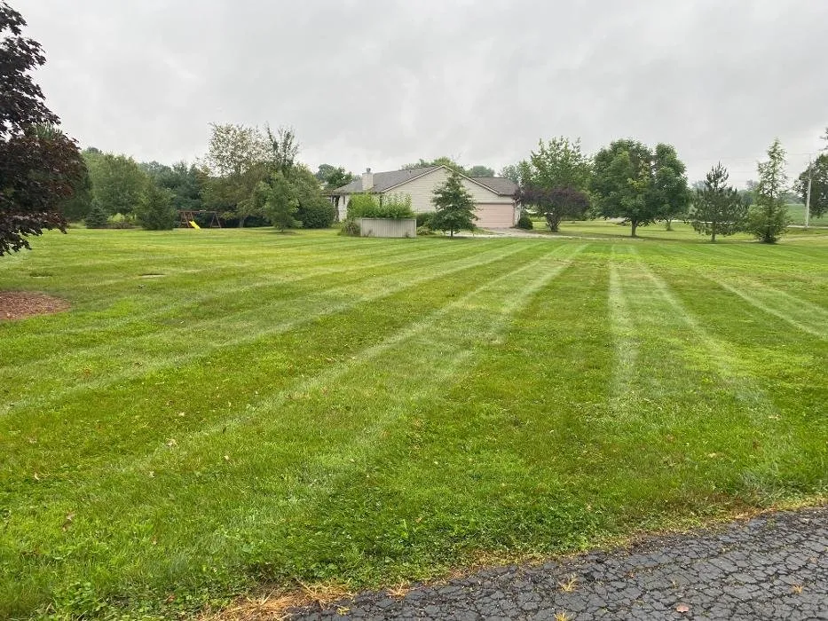 Local outdoor landscaping in Delaware, OH - Revolution Lawn And Fertilization