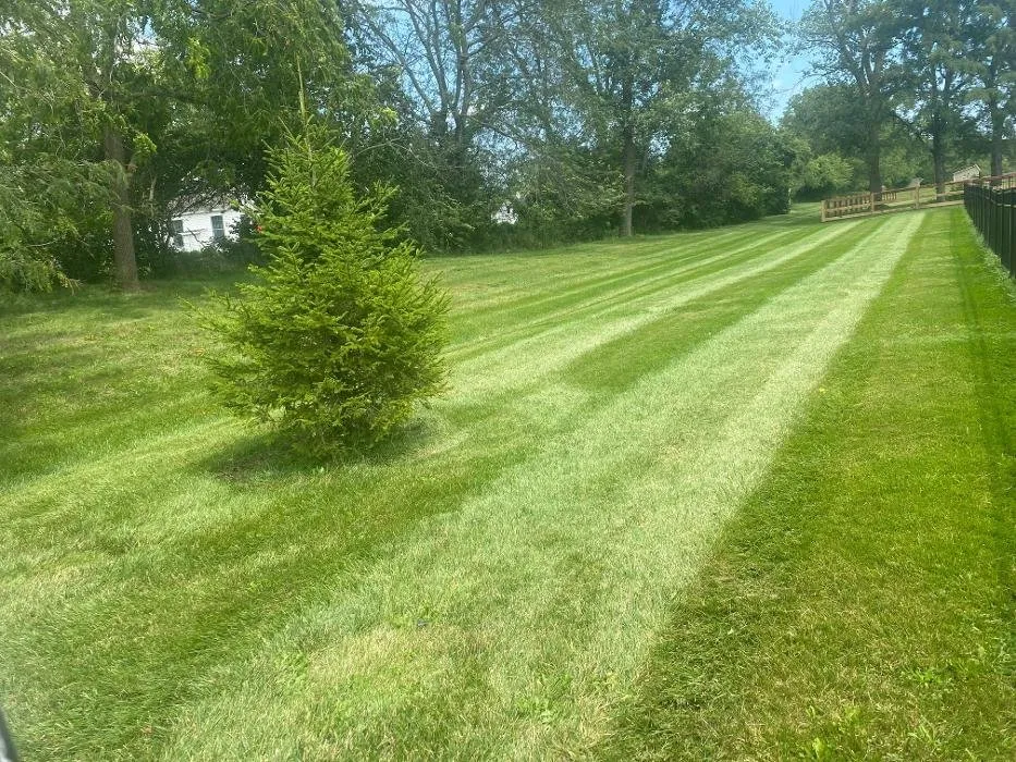 Top-rated yard cleanup service experts serving Delaware, OH - Revolution Lawn And Fertilization