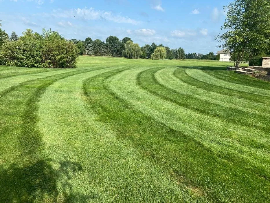 Top-rated yard cleanup service with custom design across Delaware, OH - Revolution Lawn And Fertilization