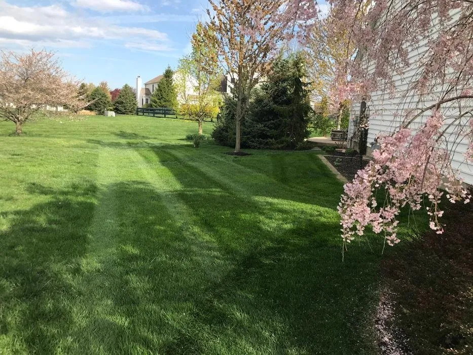 Top-rated landscaping services for residential properties in Delaware, OH by Revolution Lawn And Fertilization
