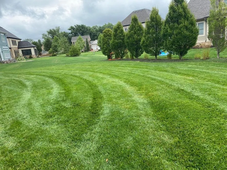 Custom residential landscaping for outdoor upgrades across Delaware, OH - Revolution Lawn And Fertilization
