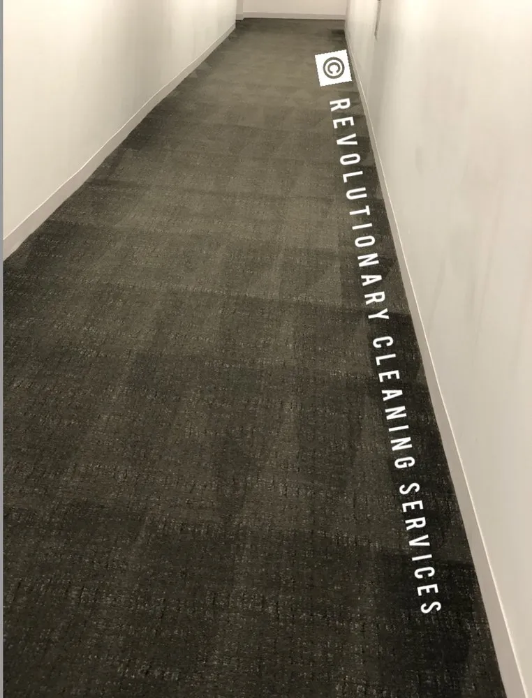 Affordable yard maintenance experts serving Lynn, MA - Revolutionary Cleaning Services