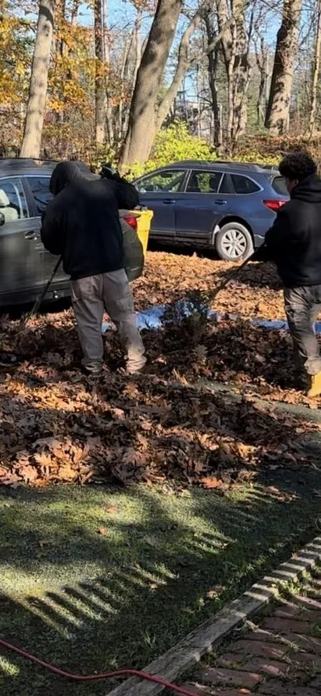 Top-rated yard maintenance in Lynn, MA - Revolutionary Cleaning Services