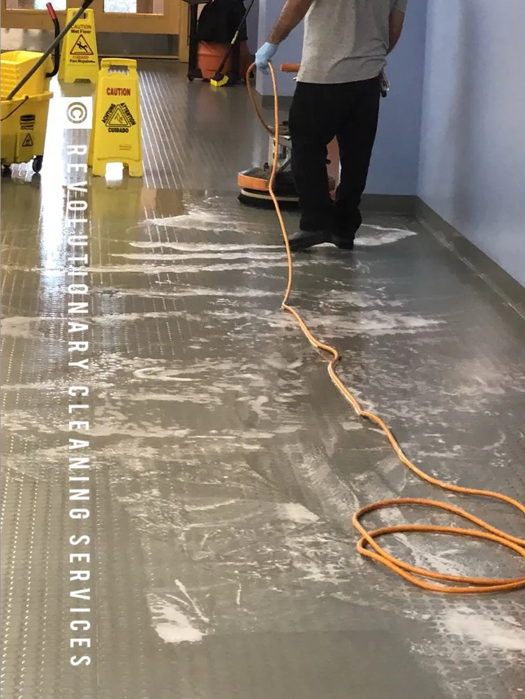 Professional yard cleanup service experts serving Lynn, MA - Revolutionary Cleaning Services