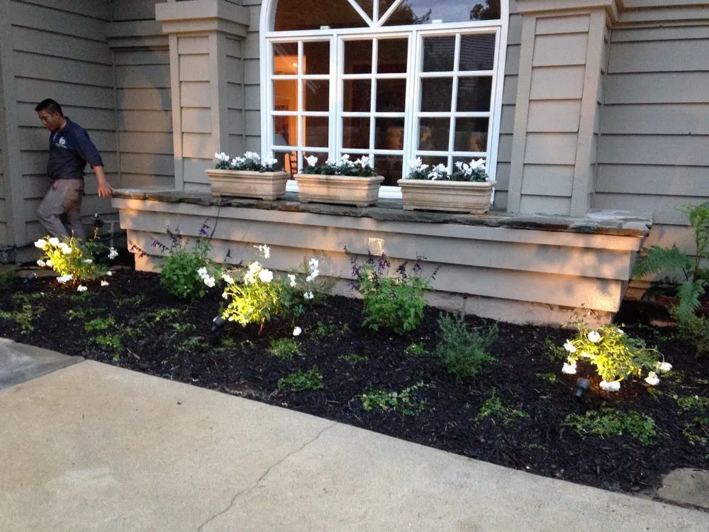 Custom yard cleanup service in Sylmar, CA by Revolutionary Landscaping