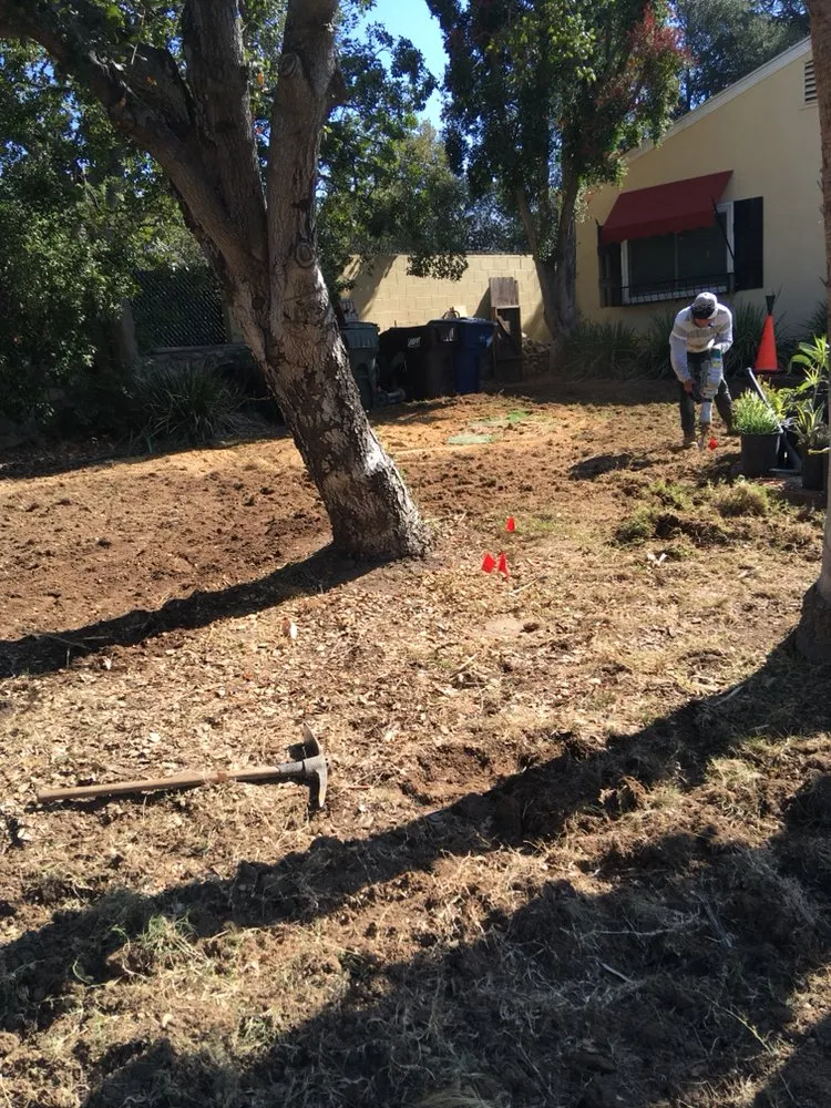 Top-rated lawn mowing service in Sylmar, CA - Revolutionary Landscaping