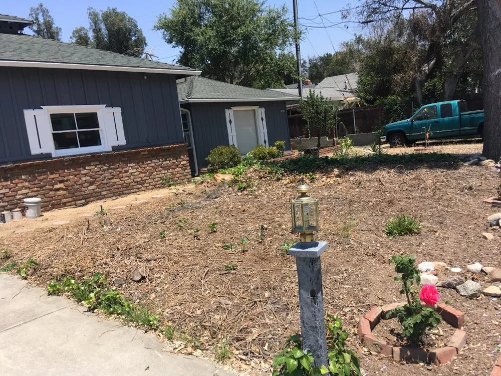 Local yard cleanup service in Sylmar, CA - Revolutionary Landscaping