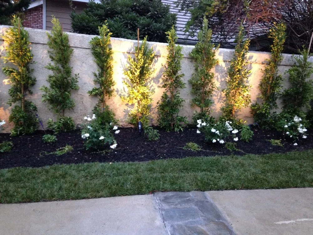 Reliable outdoor landscaping for outdoor upgrades in Sylmar, CA by Revolutionary Landscaping