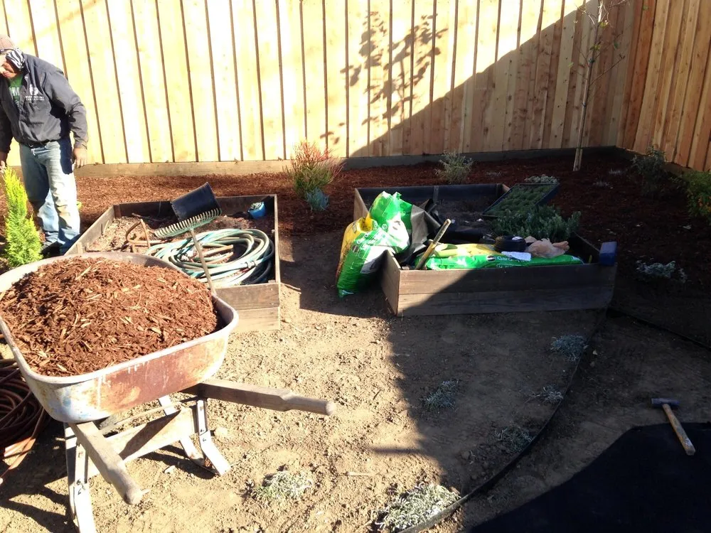 Expert lawn care service in Sylmar, CA by Revolutionary Landscaping
