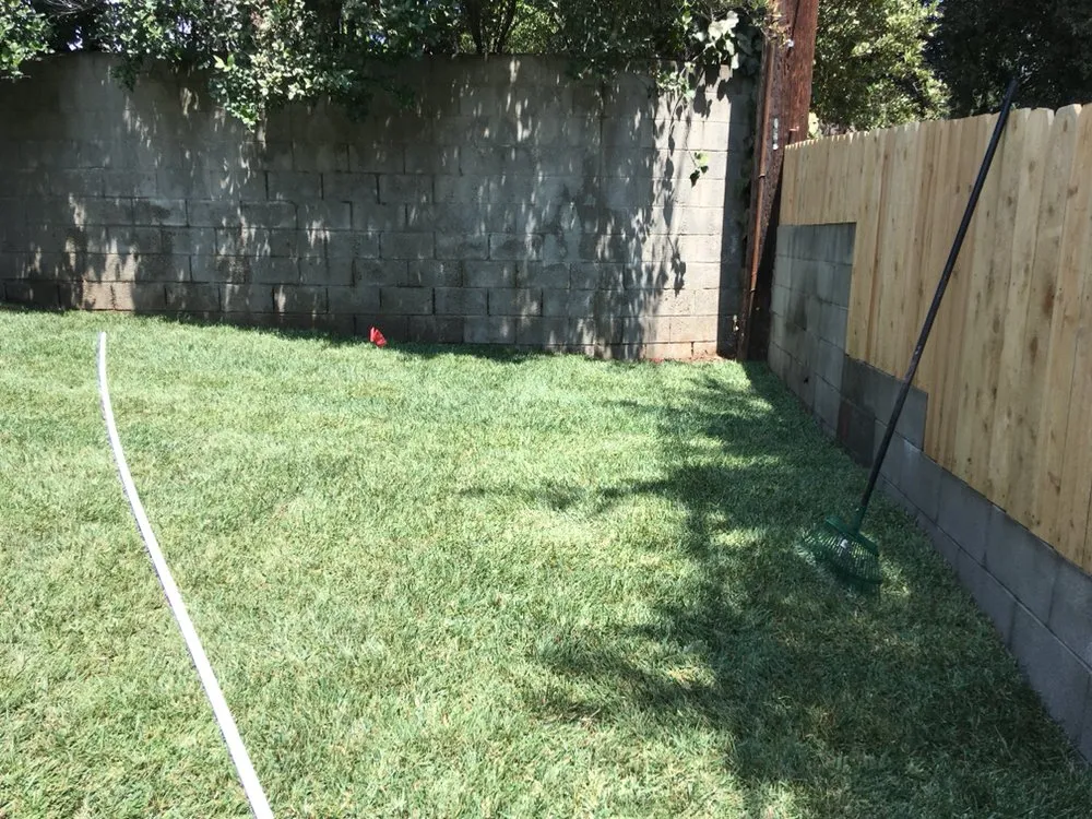 Professional yard cleanup service experts serving Sylmar, CA - Revolutionary Landscaping