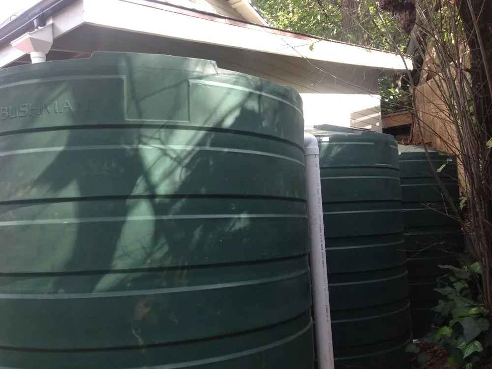 Reliable residential landscaping experts serving Santa Cruz, CA - Rewild Designs