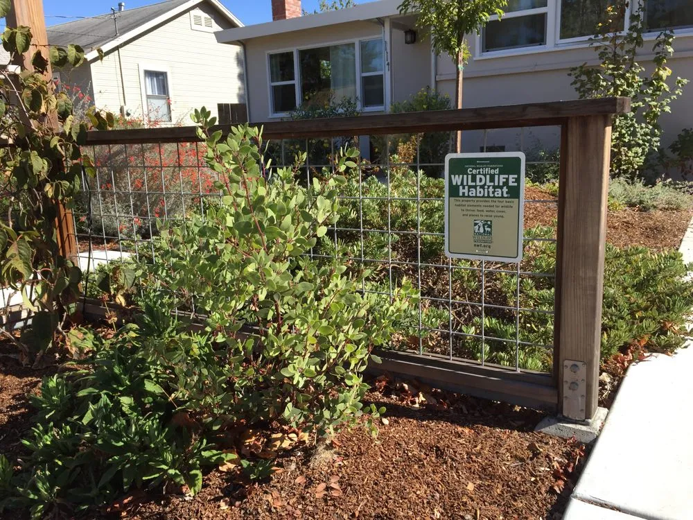 Custom yard maintenance for beautiful yards in Santa Cruz, CA by Rewild Designs