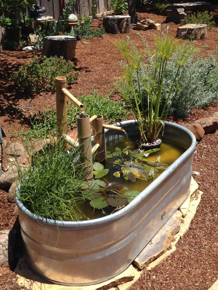 Affordable landscaping services in Santa Cruz, CA - Rewild Designs