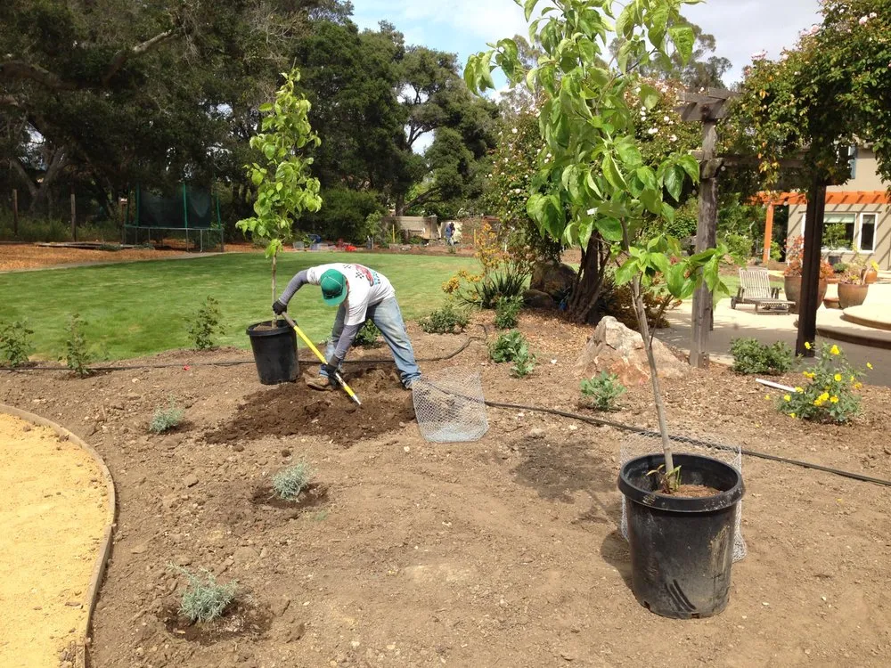 Professional lawn mowing service experts serving Santa Cruz, CA - Rewild Designs