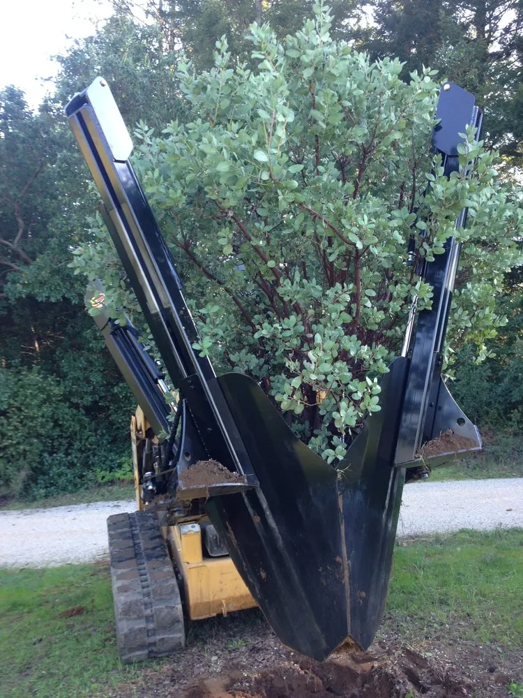 Custom garden landscaping for year-round maintenance across Santa Cruz, CA - Rewild Designs