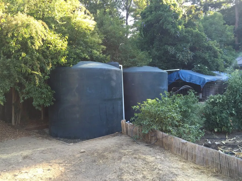 Custom landscaping services with custom design across Santa Cruz, CA - Rewild Designs