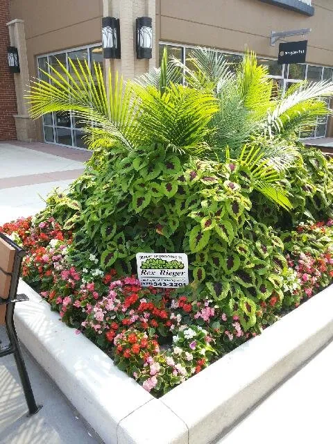 Reliable yard maintenance with custom design across Fenton, MO - Rex Rieger Landscaping