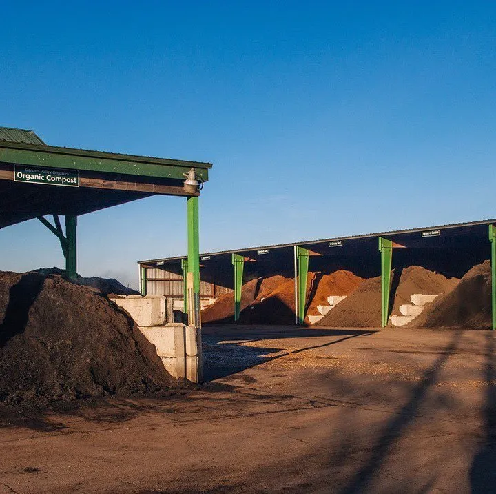 Reliable yard cleanup service experts serving Eugene, OR - Rexius